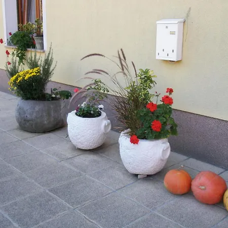 Jakopinovi Gasthof Narin